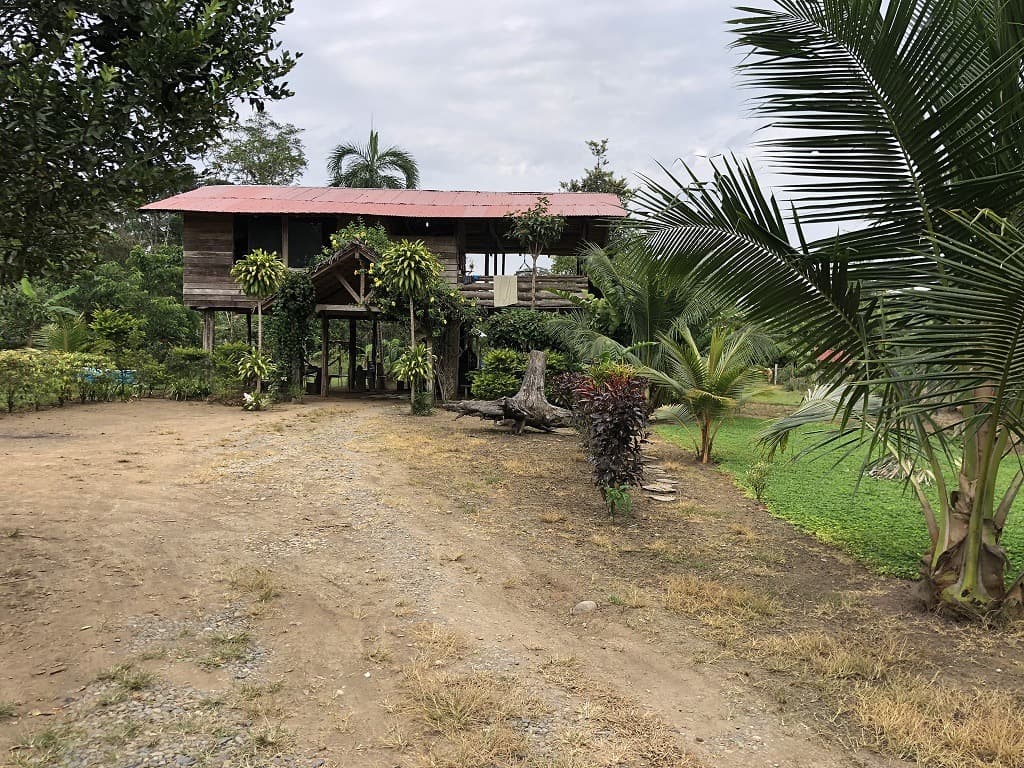 Invierte en la Amazonía ecuatoriana, 310 ha con cacao, balsa, potreros, agua y acceso E40 — imagen 6
