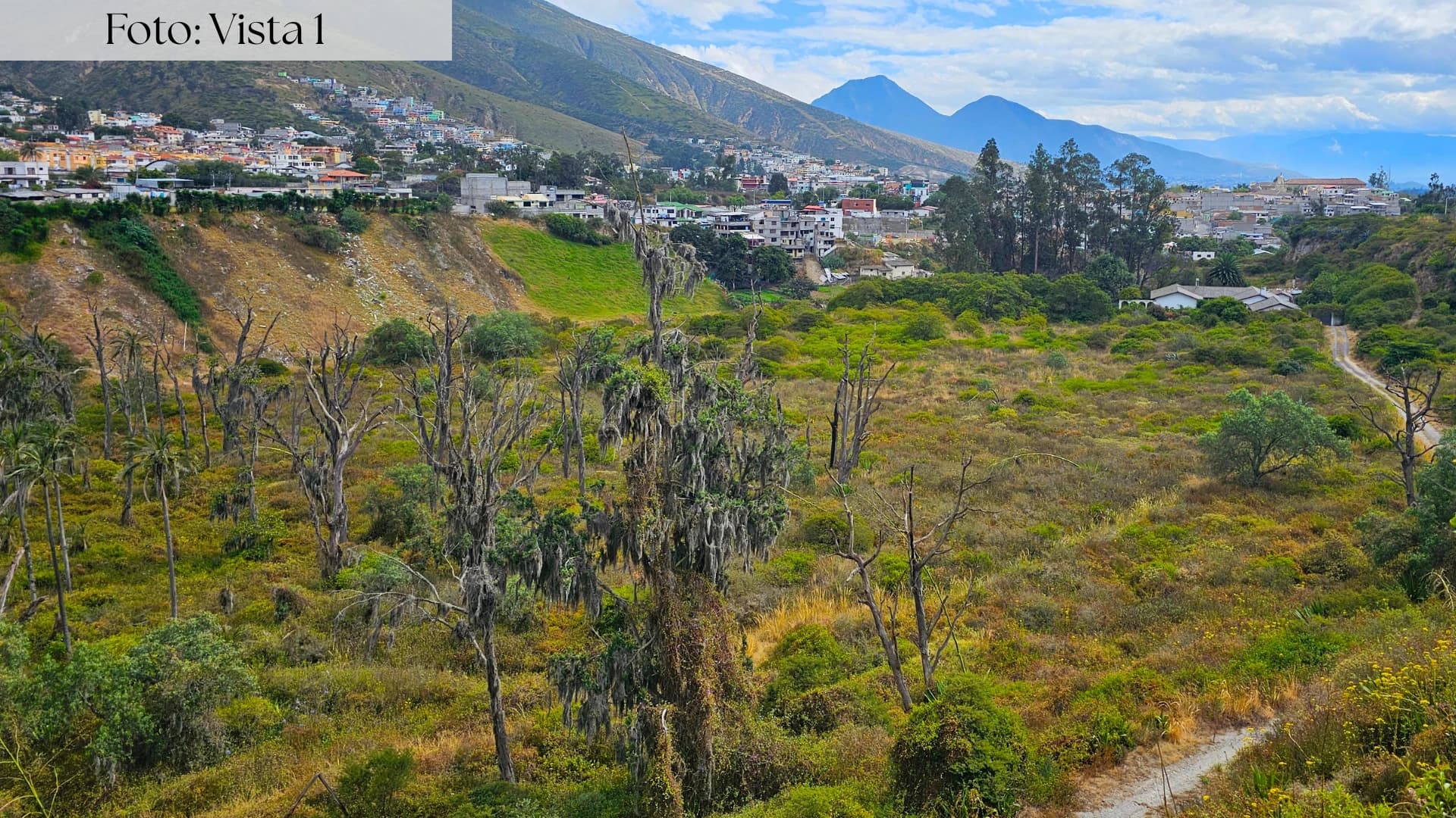 ESPECTACULAR TERRENO PARA CAMPOSANTO CEMENTERIO POMASQUI — imagen 6