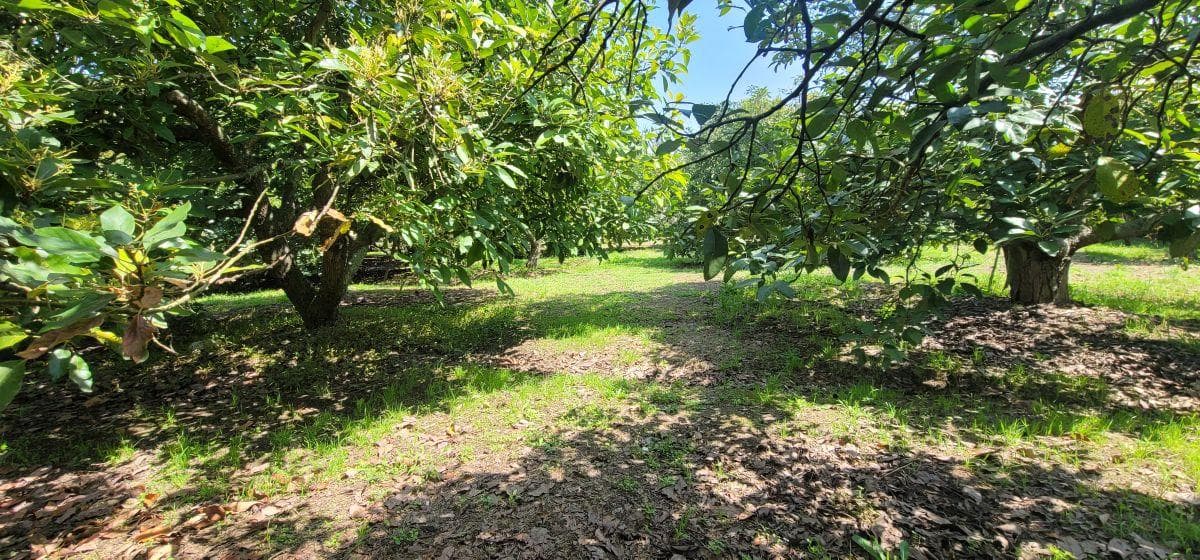 Terreno en venta en Quito, Pichincha