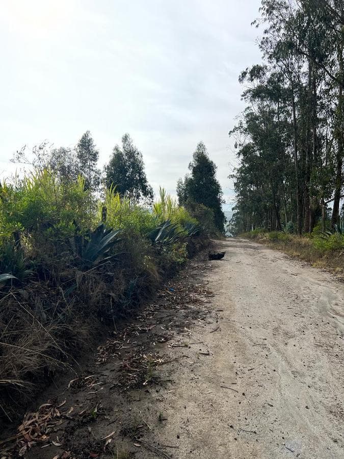 Terreno en venta en Quito, Pichincha