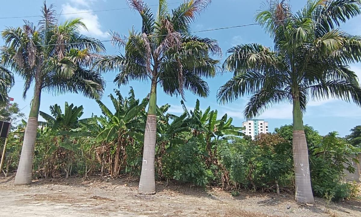Terreno en venta en Atacames, Esmeraldas