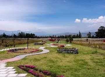 Lotes de Terreno en Malchingui Urbanización Paseo de Los Algarrobos — imagen 5