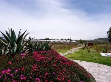 Lotes de Terreno en Malchingui Urbanización Paseo de Los Algarrobos — imagen 3