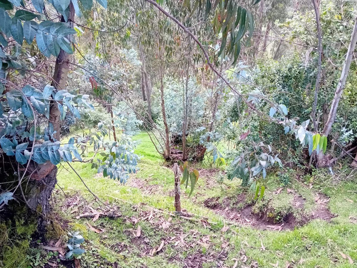 Terreno en venta en Quito, Pichincha