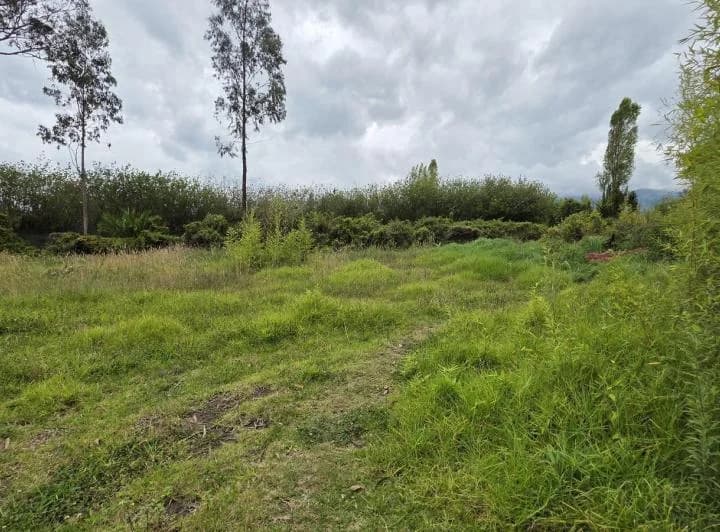 Terreno en Renta de 2.500 m² – Puembo, Barrio San José – Usd 500 Mensuales — imagen 1