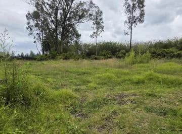 Terreno en Renta de 2.500 m² – Puembo, Barrio San José – Usd 500 Mensuales — imagen 5