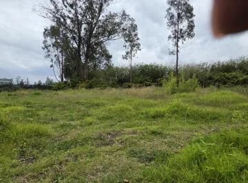 Terreno en Renta de 2.500 m² – Puembo, Barrio San José – Usd 500 Mensuales — imagen 4