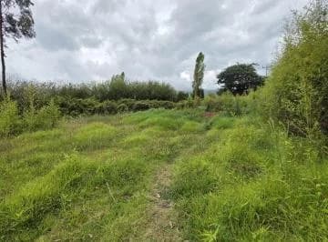 Terreno en Renta de 2.500 m² – Puembo, Barrio San José – Usd 500 Mensuales — imagen 3