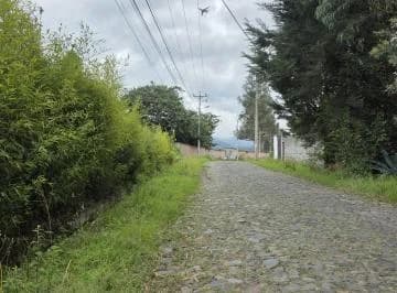Terreno en Renta de 2.500 m² – Puembo, Barrio San José – Usd 500 Mensuales — imagen 2