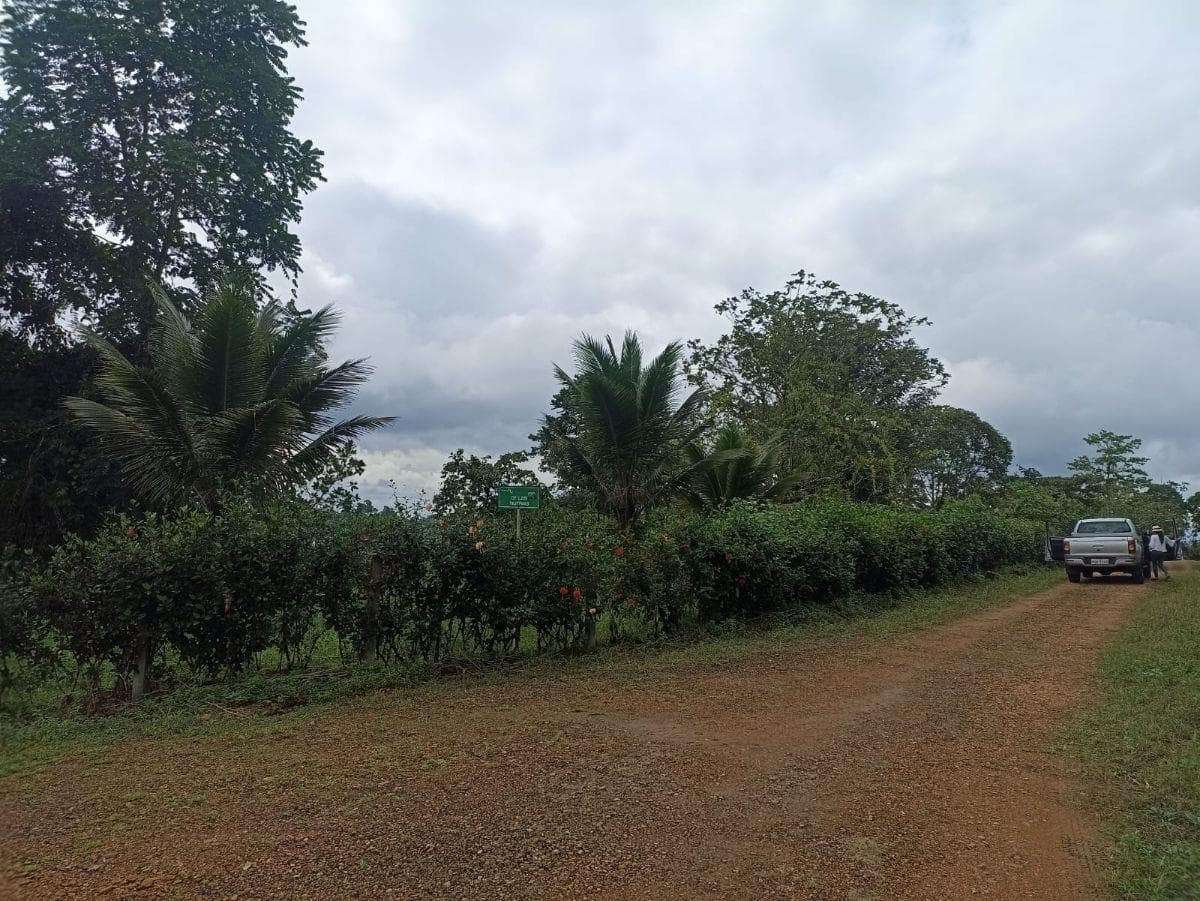 Terreno en venta en Pedro Vicente Maldonado, Pichincha