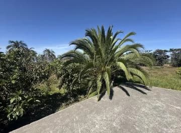 Puembo - Via Arrayanes Casa en Renta con Suite Independiente y 2928 m² Terreno — imagen 2