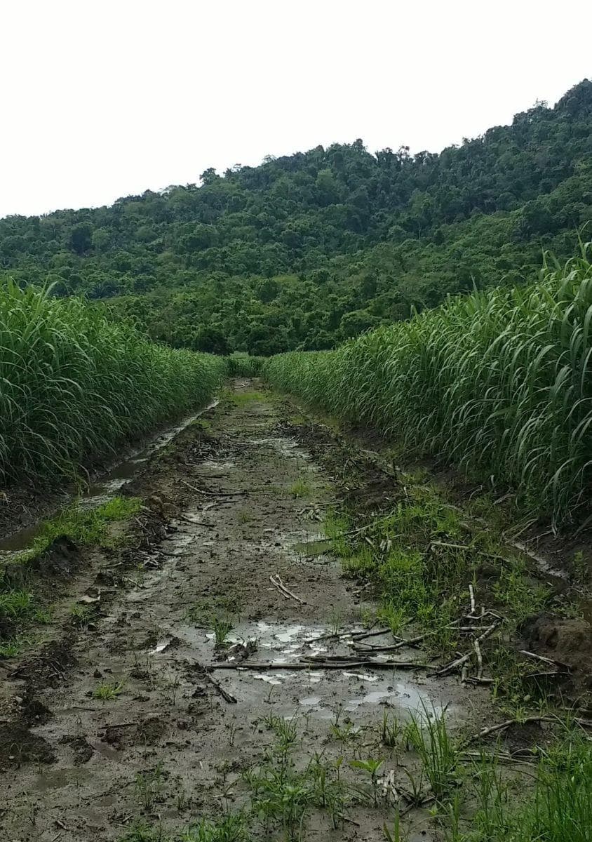 Terreno en venta en Naranjal, Guayas