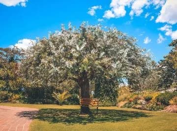 Vendo Terreno en Checa, Urbanización de Lujo, Pakakuna Gardens — imagen 3