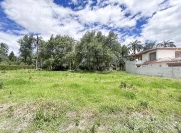Vendo Hermoso Terreno de 500 m² en Sector Exclusivo Santa Rosa de Lima — imagen 3