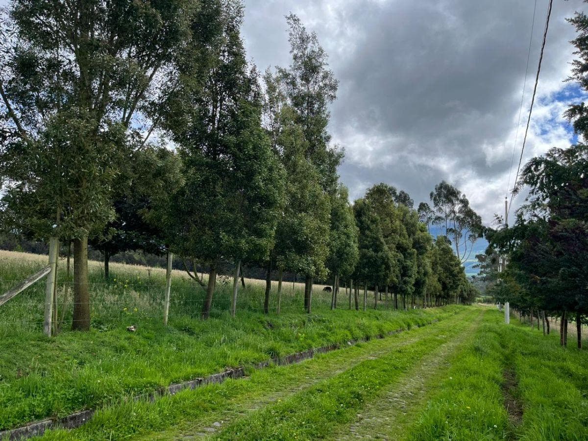 Propiedad en venta en Machachi, Pichincha