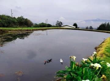 Excelente Terreno Rural de Venta en Yaruqui! Vista! — imagen 3