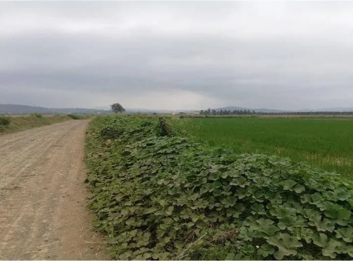 Terreno en venta en Rocafuerte, Manabí