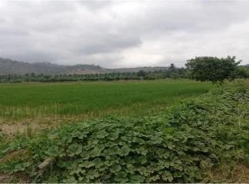 Terreno Arrocero de Venta en Rocafuerte Manabi, Manabí — imagen 5