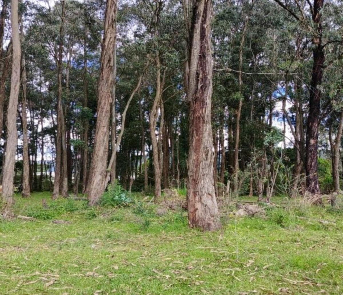 Terreno en venta en Quito, Pichincha