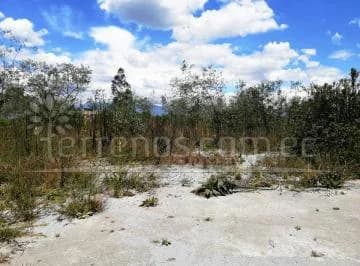 Renta de Terreno 5.231 m² Sector Llano Grande — imagen 3