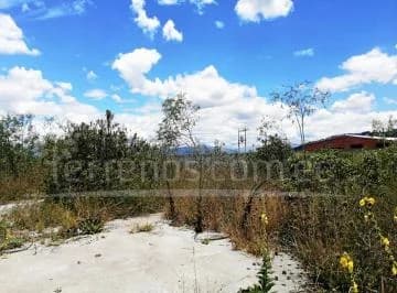 Renta de Terreno 5.231 m² Sector Llano Grande — imagen 2
