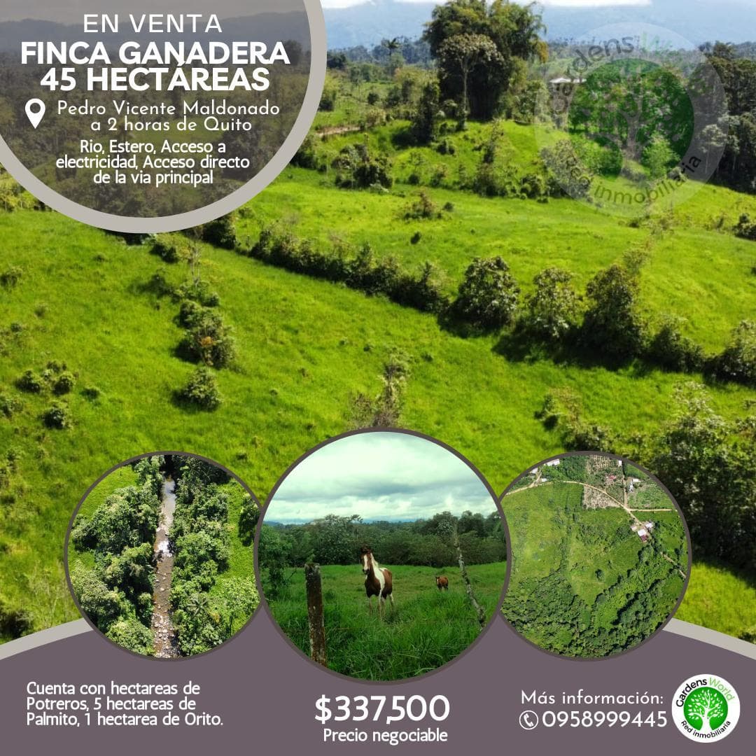 Terreno en venta en Pedro Vicente Maldonado, Pichincha