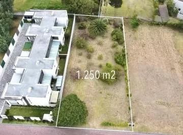Puembo - Via Marquesina 1.250 m² en Venta Terreno Multifamiliar — imagen 5