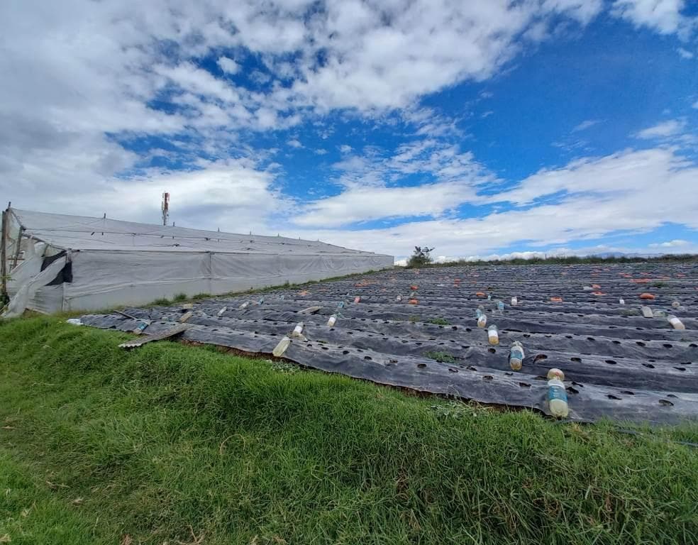 Terreno en venta en Quito, Pichincha
