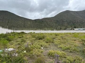 Terreno Industrial de Renta, Sector Hipódromo, Calacalí — imagen 4