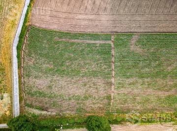 Venta de Terreno Sector Puembo - Cerca Club Los Arrayanes — imagen 5