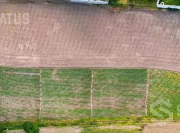 Venta de Terreno Sector Puembo - Cerca Club Los Arrayanes — imagen 4