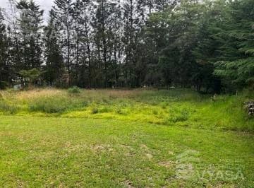 Puembo Arrayanes, Excelente Terreno de 2.364 m² en Venta — imagen 5