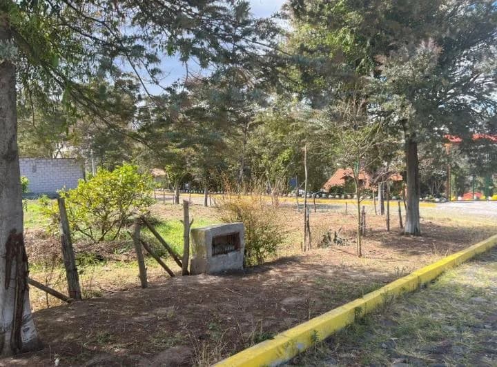 Venta Terreno 496 Pifo Urbanizacion Wilson — imagen 1