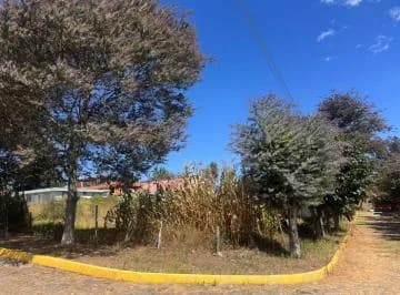 Venta Terreno 496 Pifo Urbanizacion Wilson — imagen 5