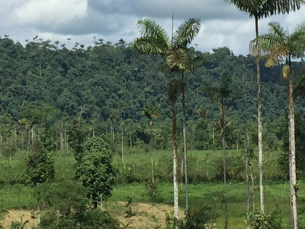 Terreno en venta en Los Bancos, Pichincha