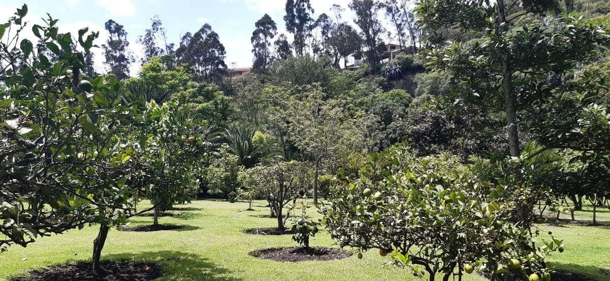 Terreno en venta en Quito, Pichincha