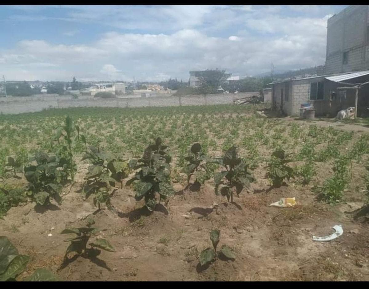 Terreno en venta en Quito, Pichincha