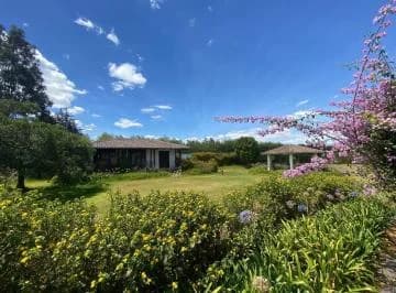Venta Terreno en Puembo — imagen 3