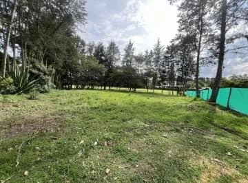 Venta Terreno en Puembo en La Urbanización Arrayanes — imagen 3