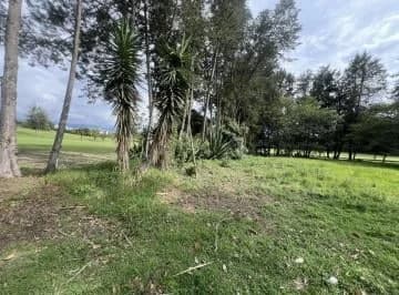 Venta Terreno en Puembo en La Urbanización Arrayanes — imagen 2