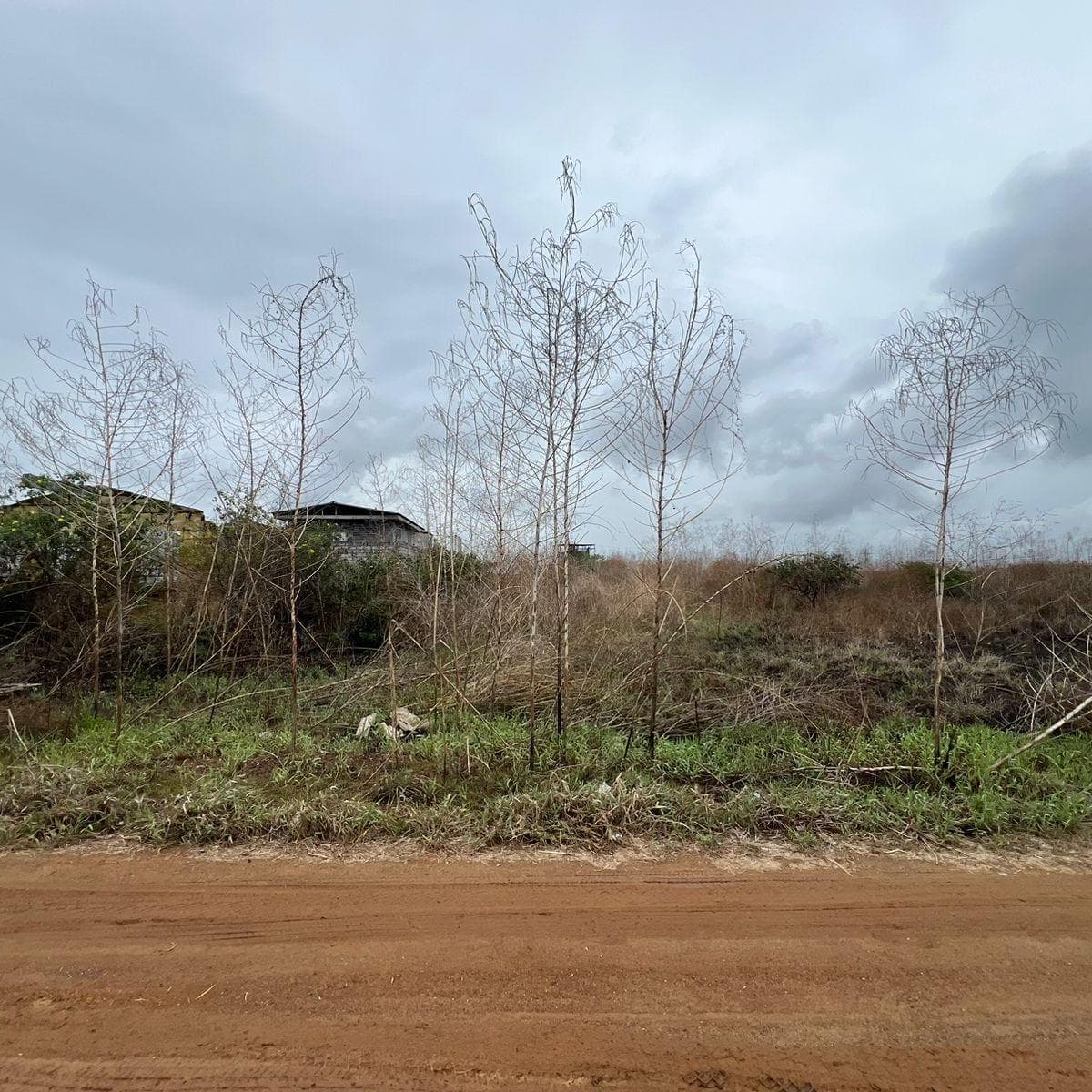 Terreno en venta en Playas, Guayas