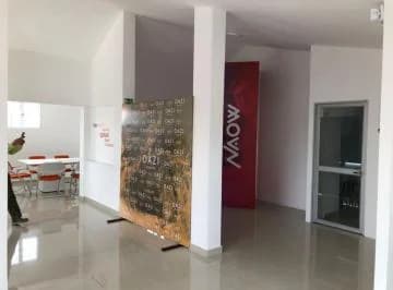 Vendo Excelente Propiedad Comercial Ubicada en Centro Norte - Actualmente Rentada - *mm — imagen 3
