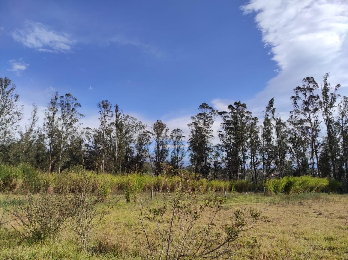 Terreno en venta en Cayambe, Pichincha