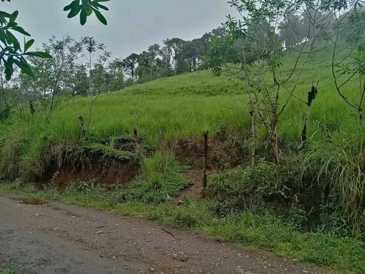 Terreno en venta en Caluma, Bolívar