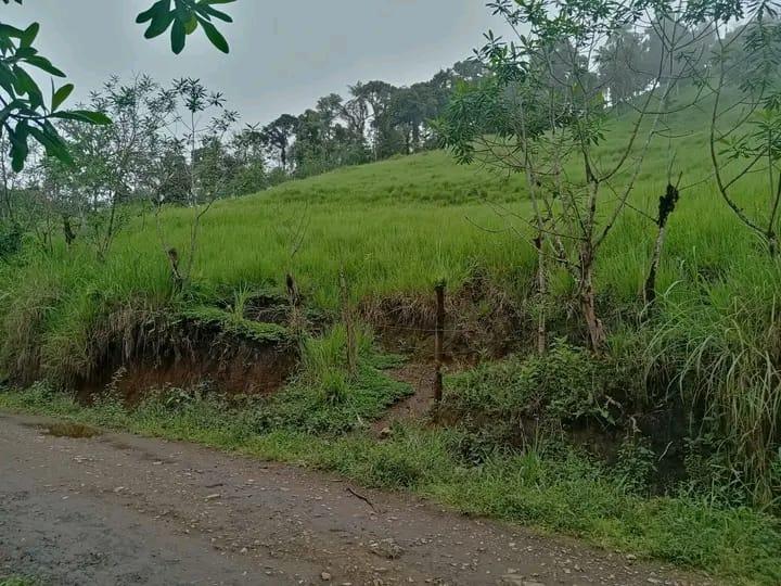 Terreno en venta en Caluma, Bolívar