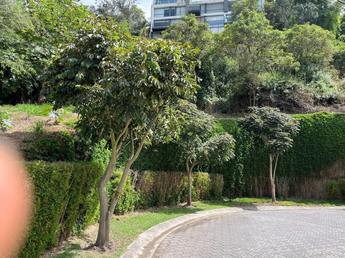 Terreno en venta en Quito, Pichincha