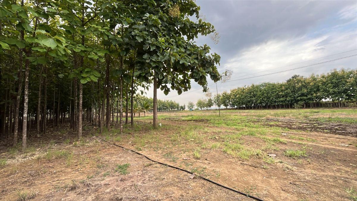 Terreno en venta en Guayaquil, Guayas