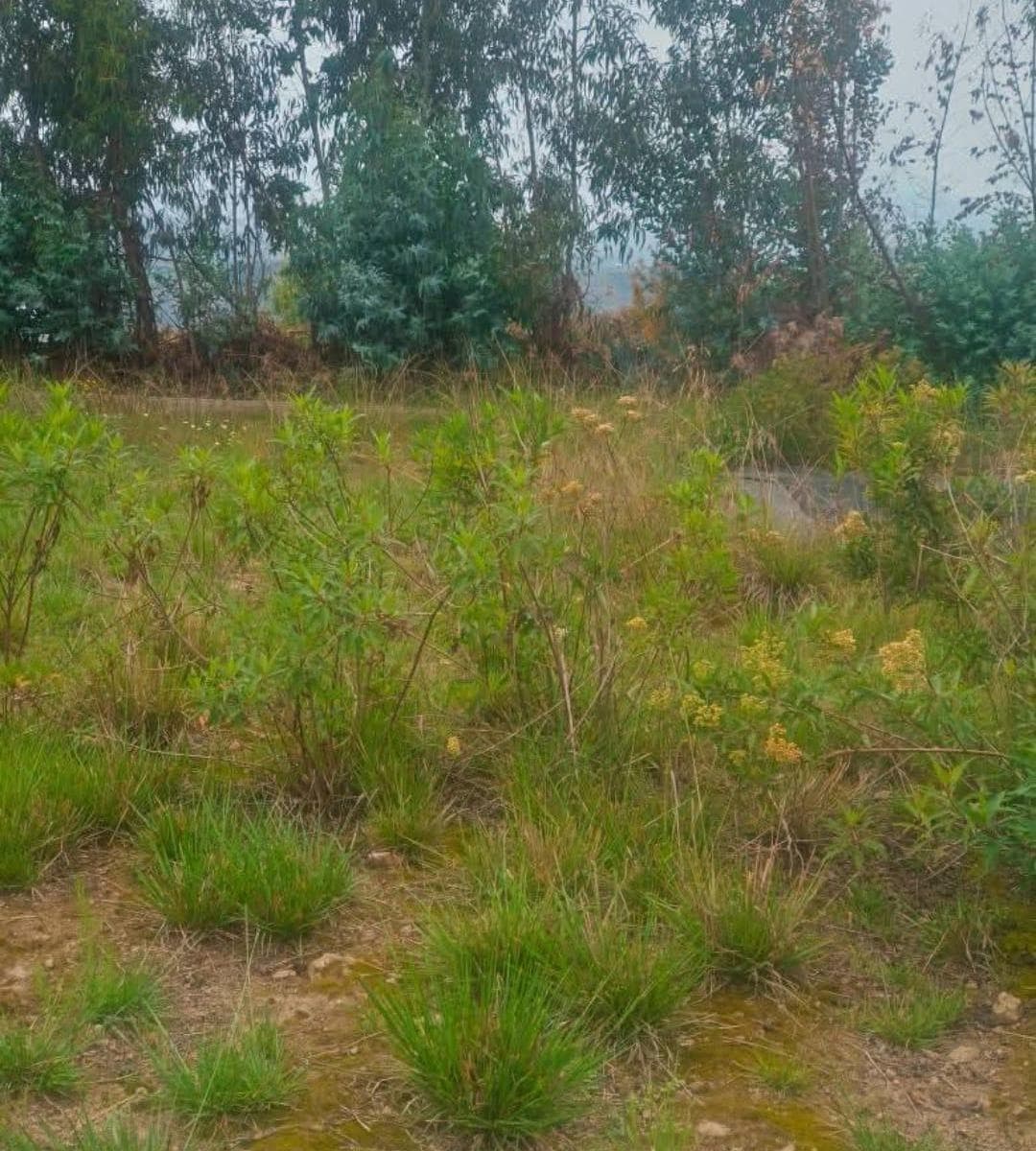 Terreno en venta en Ambato, Tungurahua