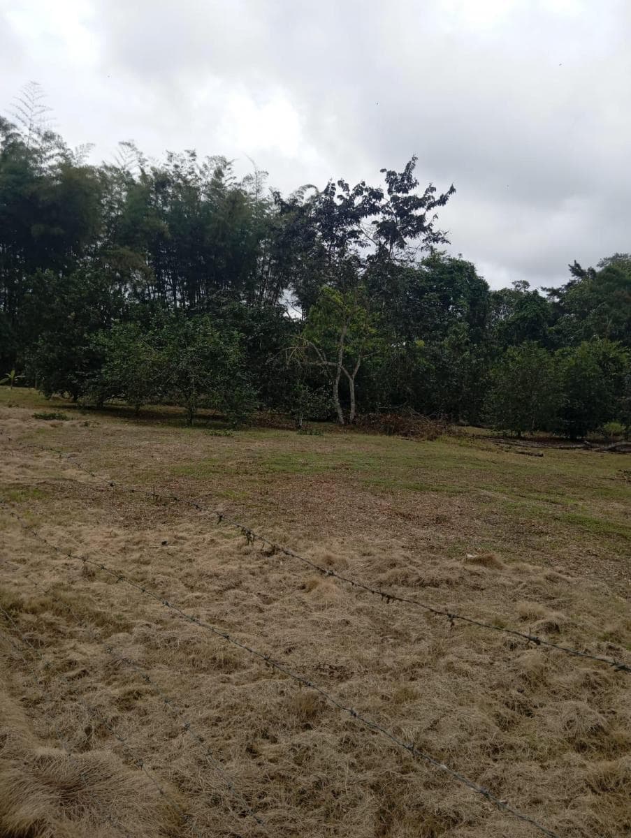 Terreno en venta en Pedro Vicente Maldonado, Pichincha