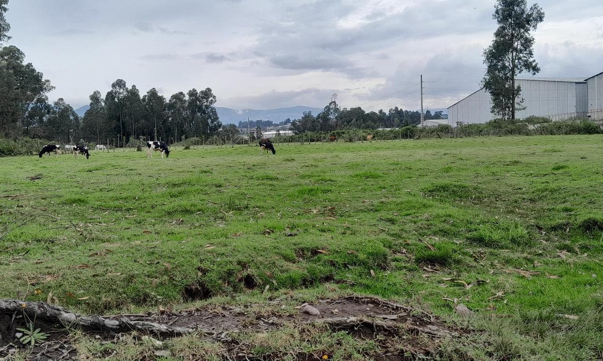 Terreno en venta en Quito, Pichincha